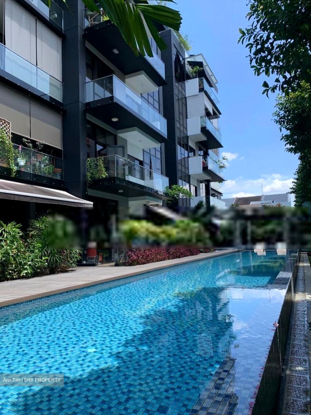 The Lush (D15), Apartment #627367061